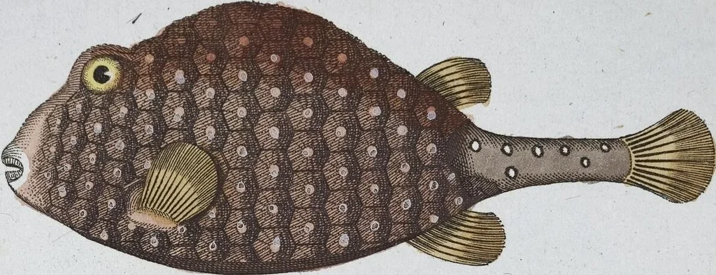 An illustration from (Band 8): Achtes Hundert, 1807, leaf 189