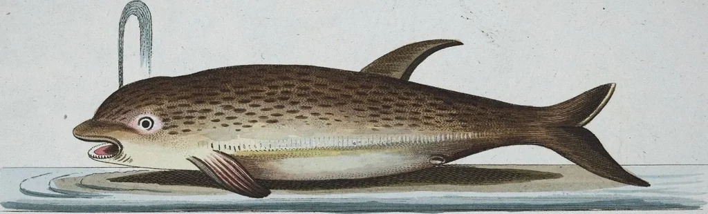 An illustration from (Band 8): Achtes Hundert, 1807, leaf 194