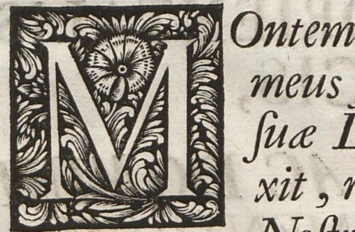 An illustration from Lithographiae Wirceburgensis, Ducentis Lapidum Figuratorum, A Potiori Insectiformium, Prodigiosis Imaginibus Exornatae Specimen Primum, 1726, leaf 11
