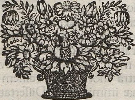 An illustration from Lithographiae Wirceburgensis, Ducentis Lapidum Figuratorum, A Potiori Insectiformium, Prodigiosis Imaginibus Exornatae Specimen Primum, 1726, leaf 121