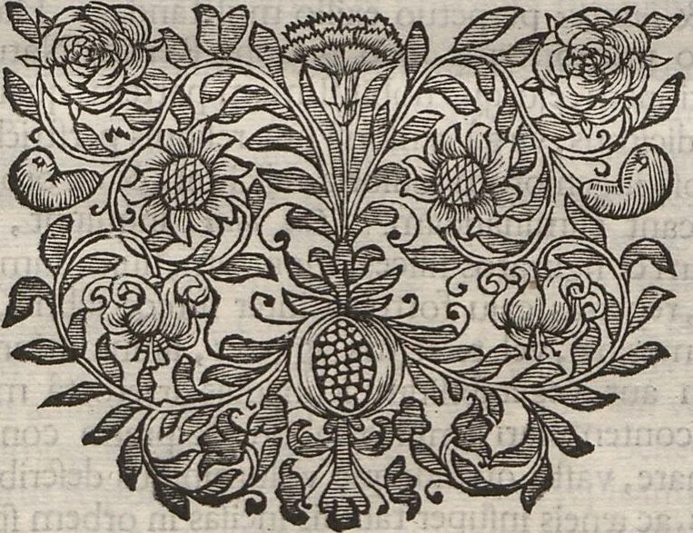 An illustration from Lithographiae Wirceburgensis, Ducentis Lapidum Figuratorum, A Potiori Insectiformium, Prodigiosis Imaginibus Exornatae Specimen Primum, 1726, leaf 25