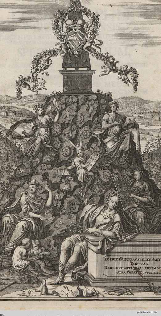 An illustration from Lithographiae Wirceburgensis, Ducentis Lapidum Figuratorum, A Potiori Insectiformium, Prodigiosis Imaginibus Exornatae Specimen Primum, 1726, leaf 3