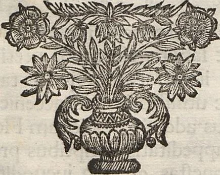 An illustration from Lithographiae Wirceburgensis, Ducentis Lapidum Figuratorum, A Potiori Insectiformium, Prodigiosis Imaginibus Exornatae Specimen Primum, 1726, leaf 34