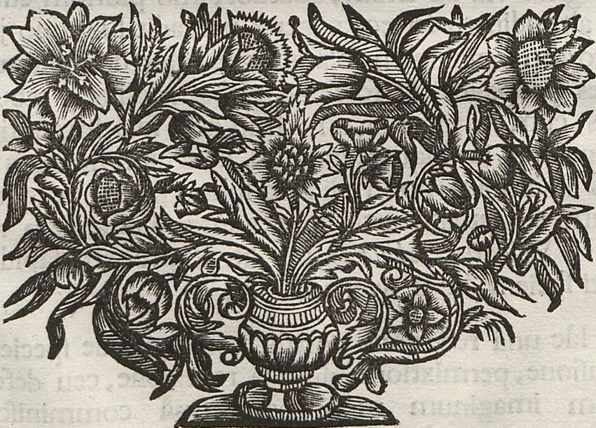 An illustration from Lithographiae Wirceburgensis, Ducentis Lapidum Figuratorum, A Potiori Insectiformium, Prodigiosis Imaginibus Exornatae Specimen Primum, 1726, leaf 62