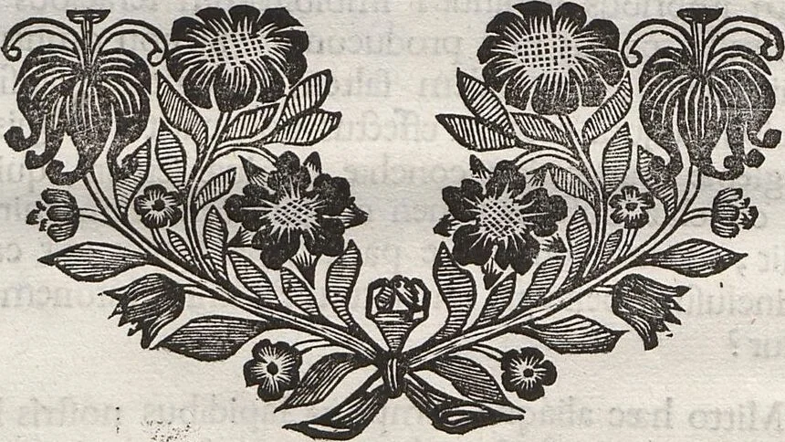 An illustration from Lithographiae Wirceburgensis, Ducentis Lapidum Figuratorum, A Potiori Insectiformium, Prodigiosis Imaginibus Exornatae Specimen Primum, 1726, leaf 69