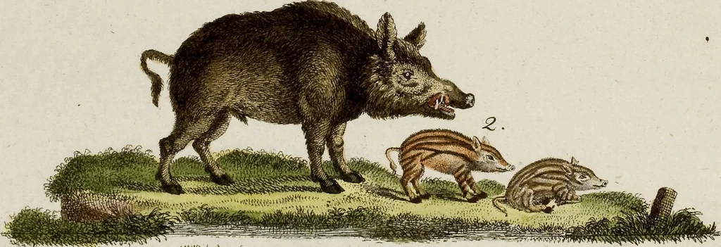 An illustration from (Band 2), 1795, leaf 108