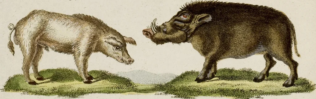 An illustration from (Band 2), 1795, leaf 108