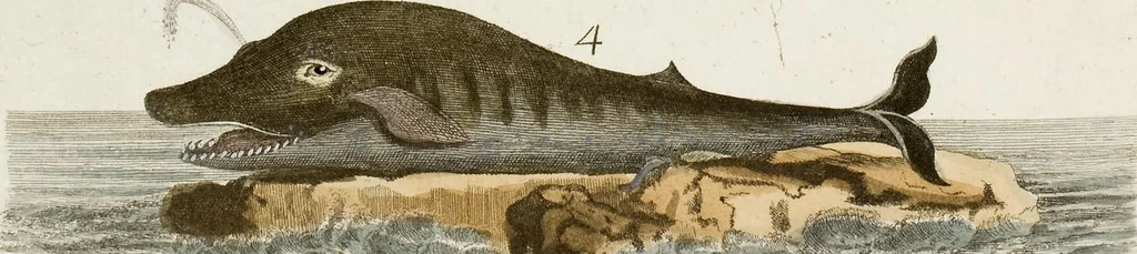 An illustration from (Band 2), 1795, leaf 159