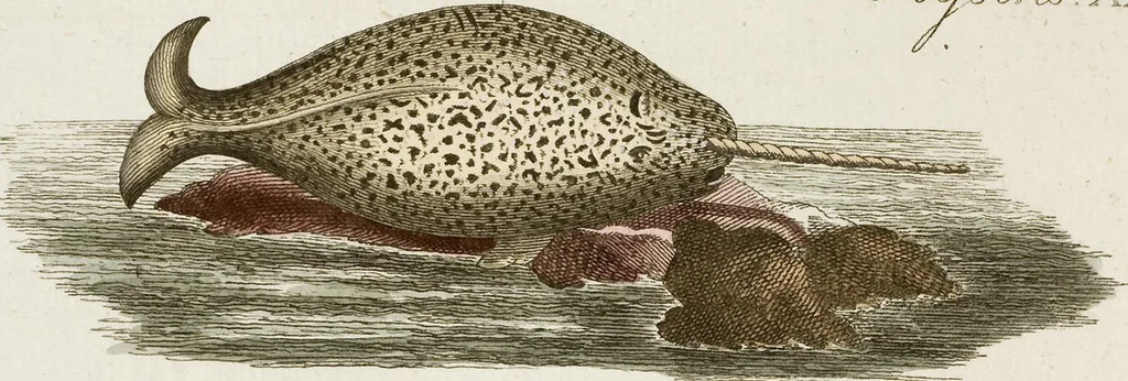 An illustration from (Band 2), 1795, leaf 171
