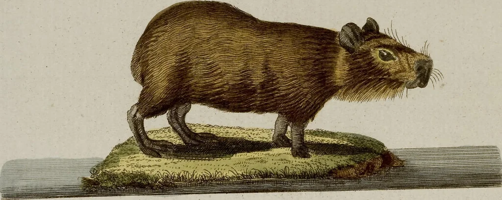 An illustration from (Band 2), 1795, leaf 174