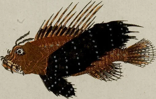 An illustration from (Band 2), 1795, leaf 18