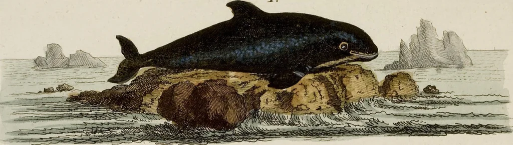 An illustration from (Band 2), 1795, leaf 183