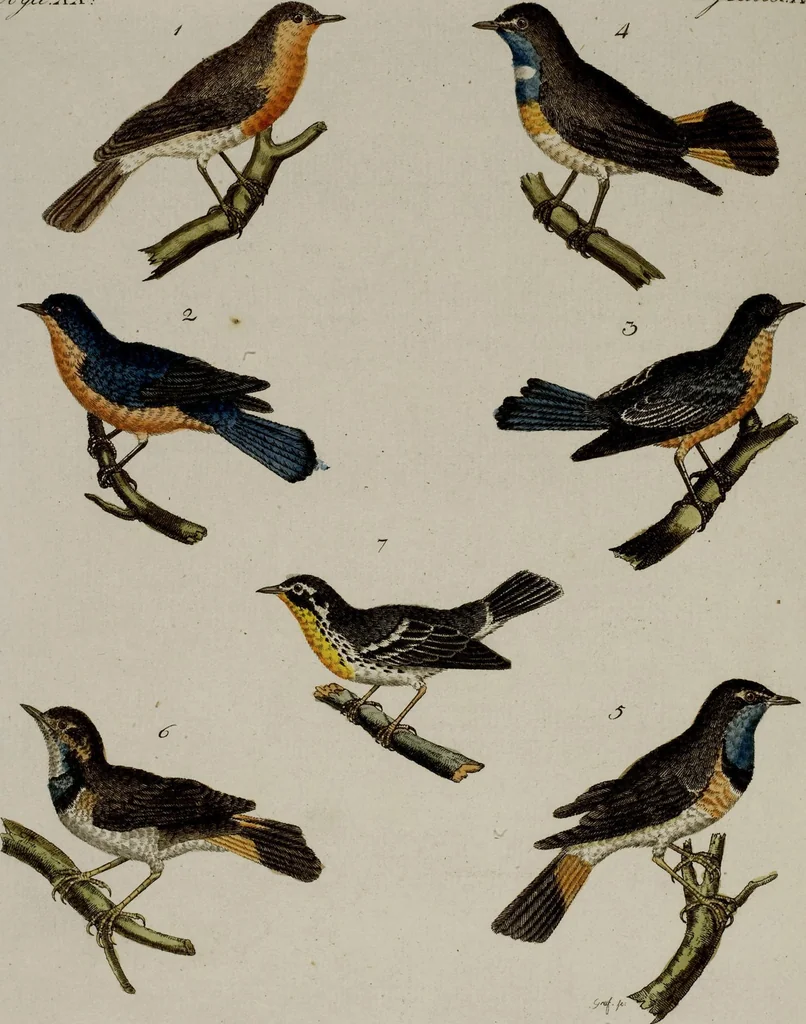 An illustration from (Band 2), 1795, leaf 192