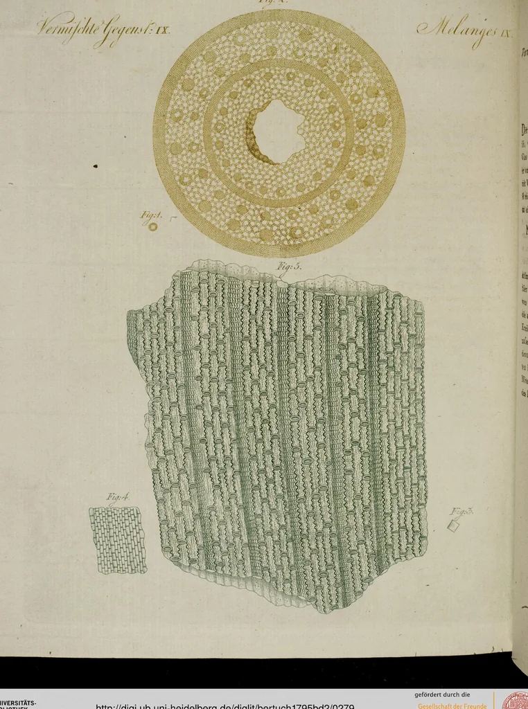 An illustration from (Band 2), 1795, leaf 279