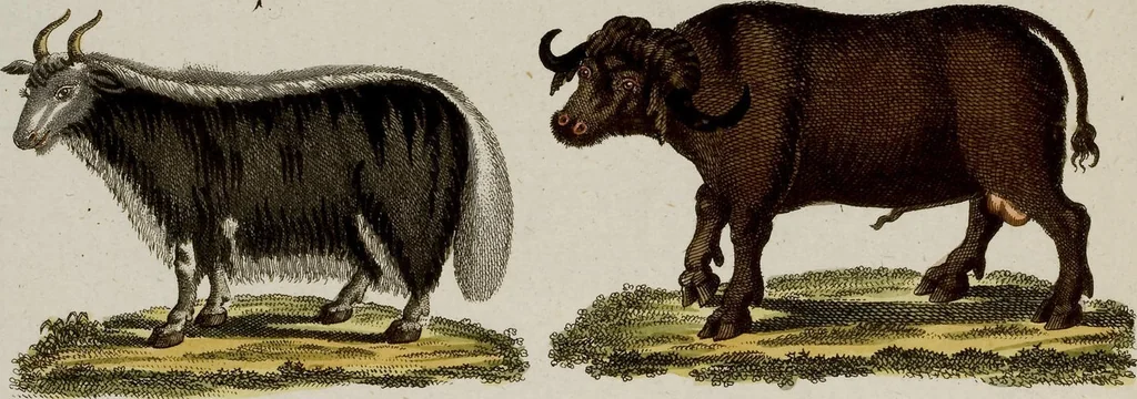 An illustration from (Band 2), 1795, leaf 51