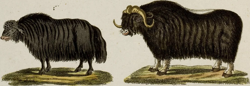 An illustration from (Band 2), 1795, leaf 51