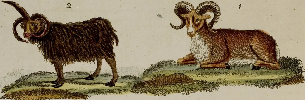 An illustration from (Band 2), 1795, leaf 78
