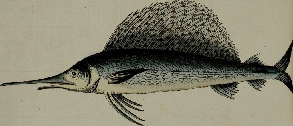 An illustration from (Band 3), 1798, leaf 120
