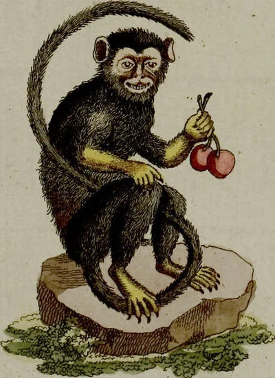An illustration from (Band 3), 1798, leaf 168