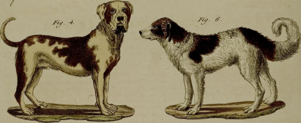 An illustration from (Band 3), 1798, leaf 192