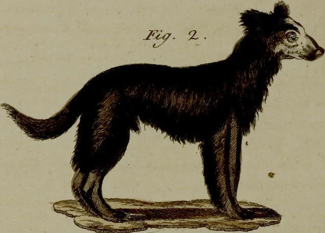 An illustration from (Band 3), 1798, leaf 192