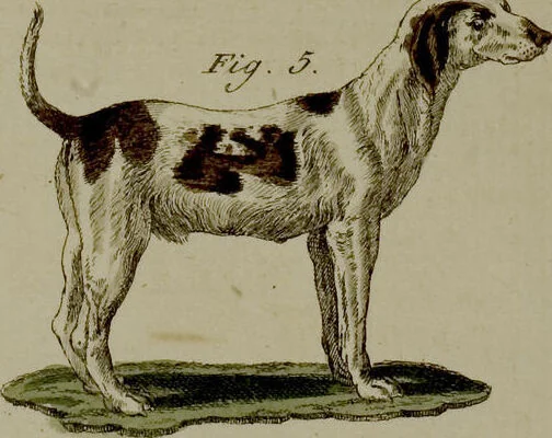 An illustration from (Band 3), 1798, leaf 192