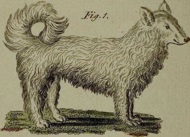An illustration from (Band 3), 1798, leaf 204