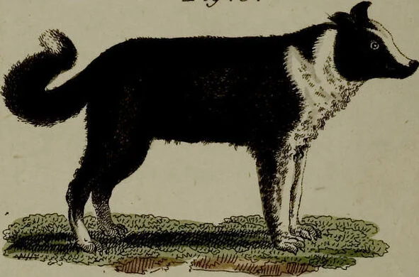 An illustration from (Band 3), 1798, leaf 204