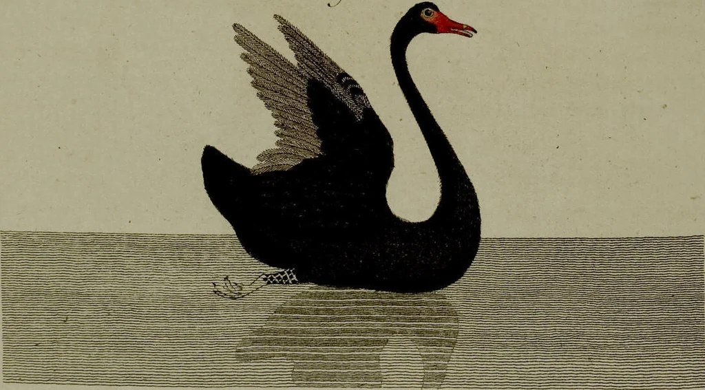 An illustration from (Band 3), 1798, leaf 225