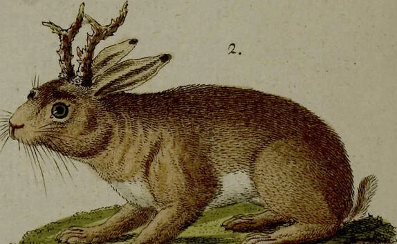 An illustration from (Band 3), 1798, leaf 24