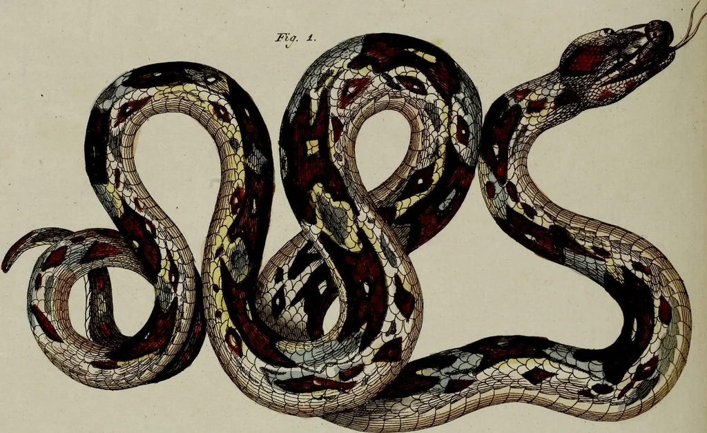 An illustration from (Band 3), 1798, leaf 257