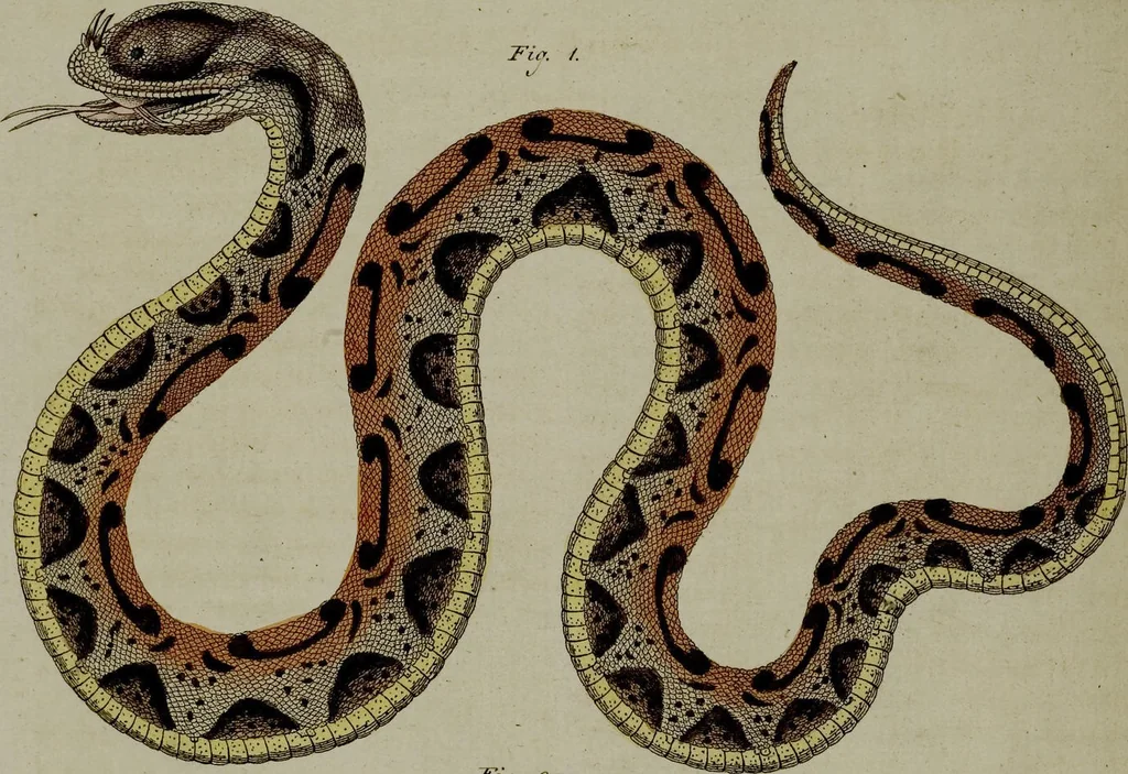 An illustration from (Band 3), 1798, leaf 272