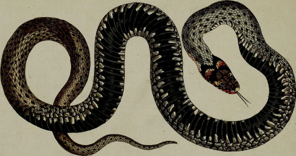 An illustration from (Band 3), 1798, leaf 272
