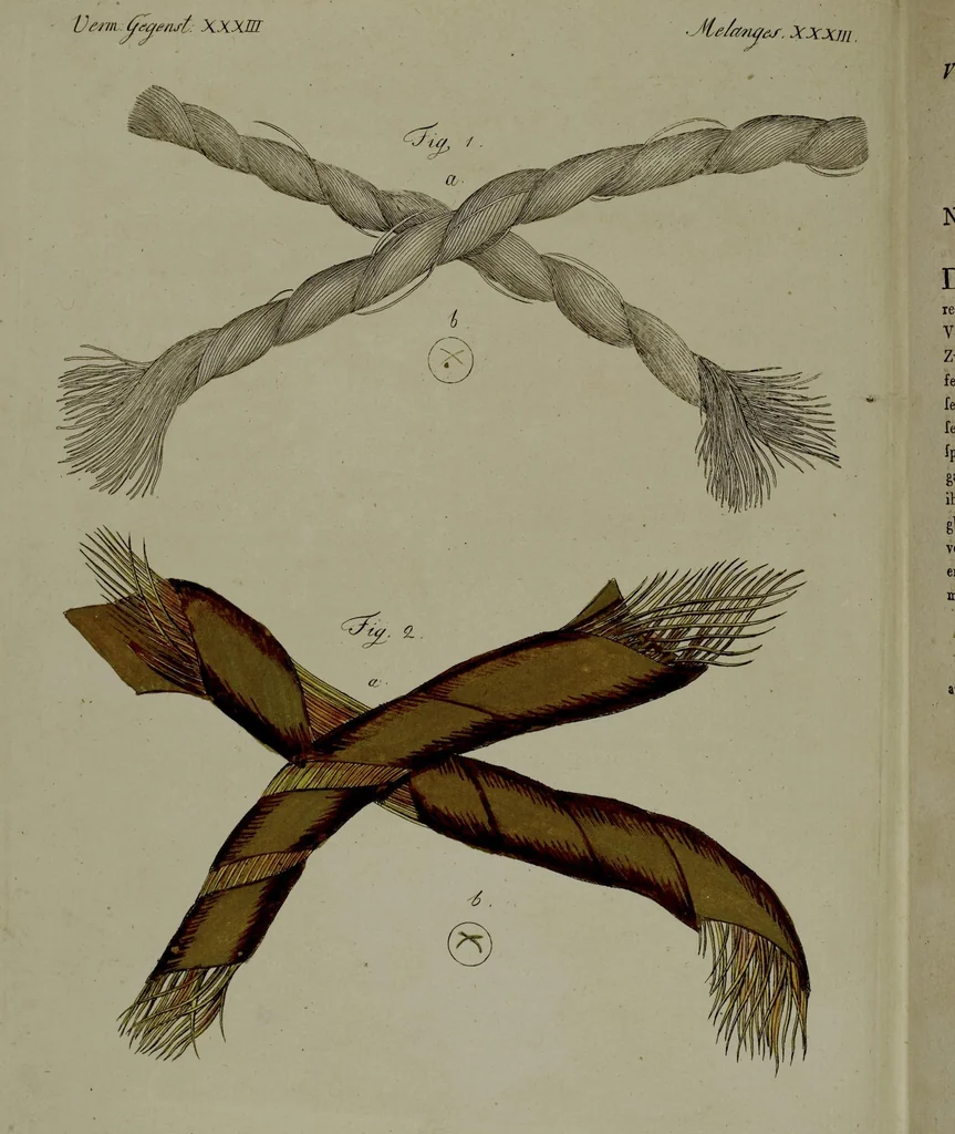 An illustration from (Band 3), 1798, leaf 302