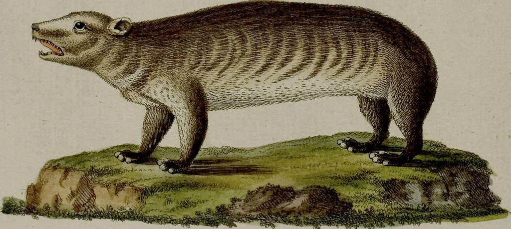 An illustration from (Band 3), 1798, leaf 48