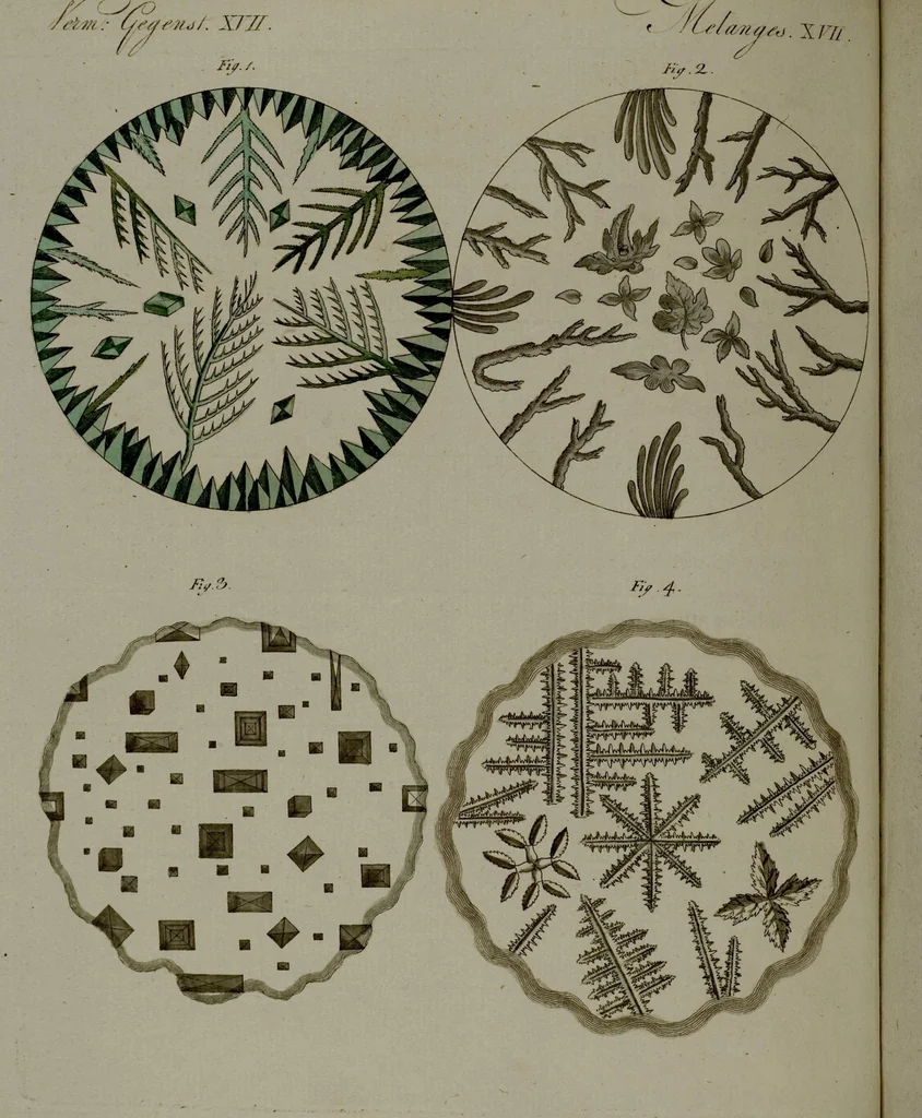 An illustration from (Band 3), 1798, leaf 63