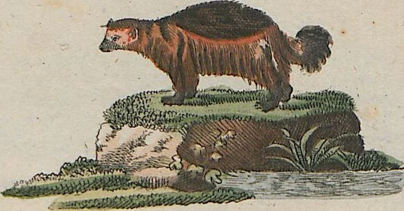 An illustration from (Band 1), 1801, leaf 108
