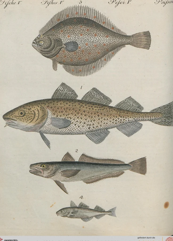 An illustration from (Band 1), 1801, leaf 120