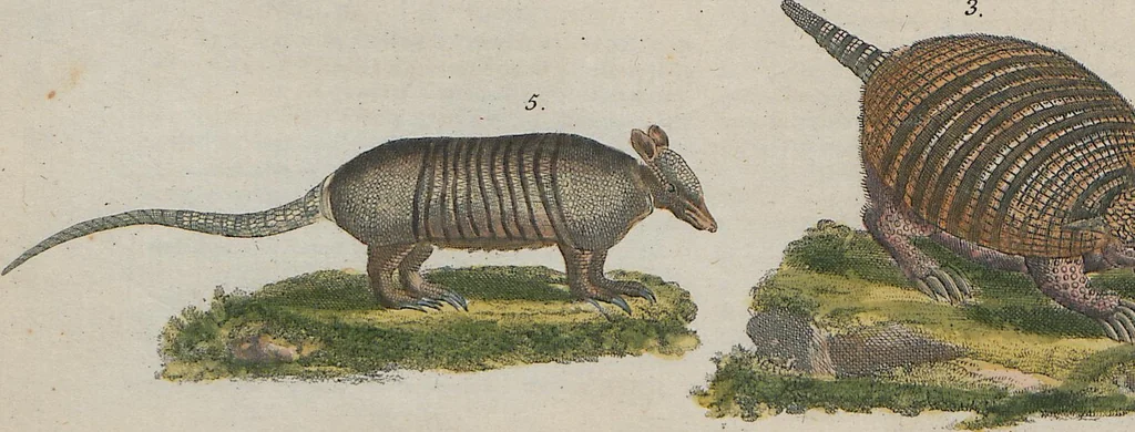 An illustration from (Band 1), 1801, leaf 144