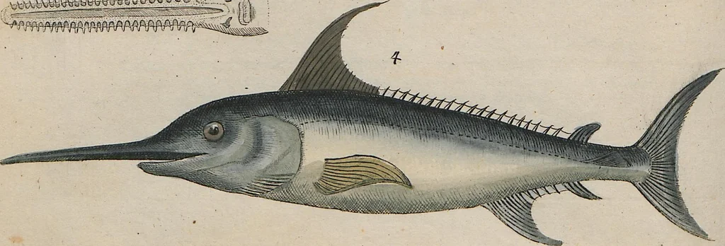 An illustration from (Band 1), 1801, leaf 159