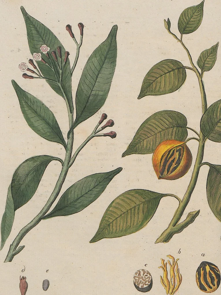 An illustration from (Band 1), 1801, leaf 168