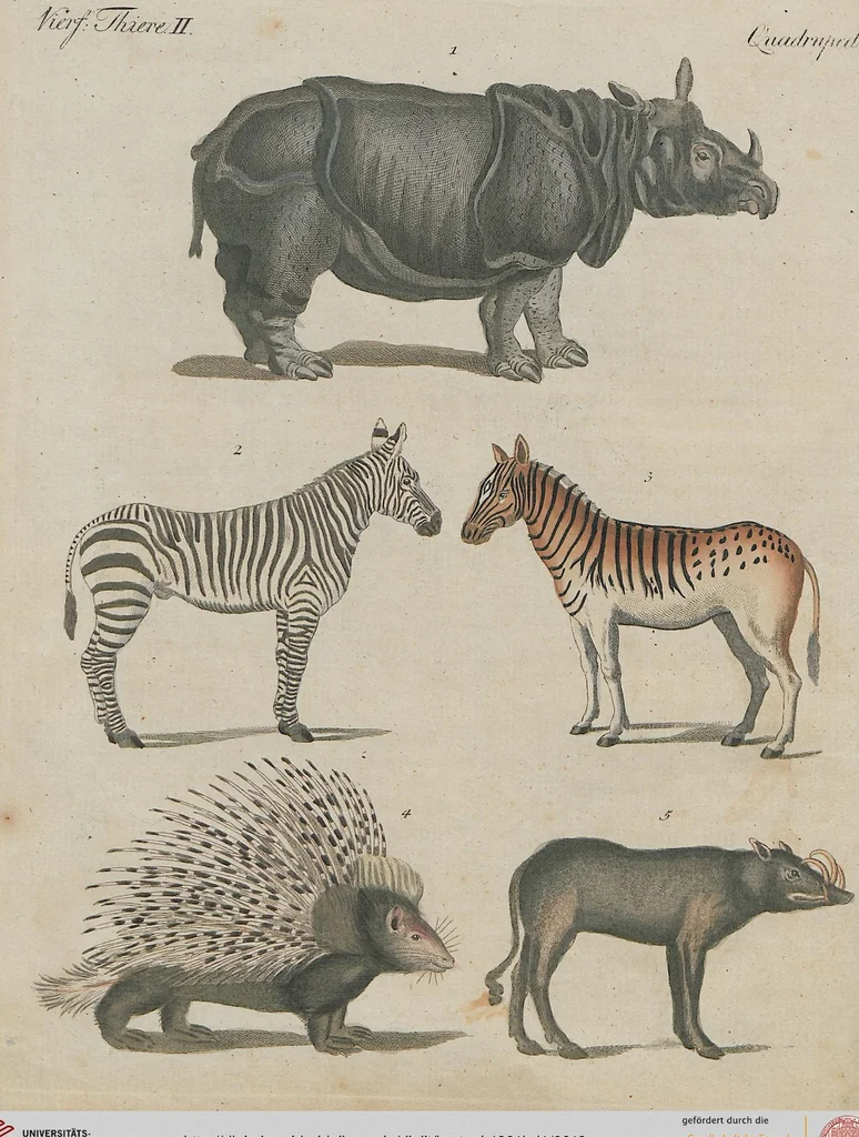 An illustration from (Band 1), 1801, leaf 18