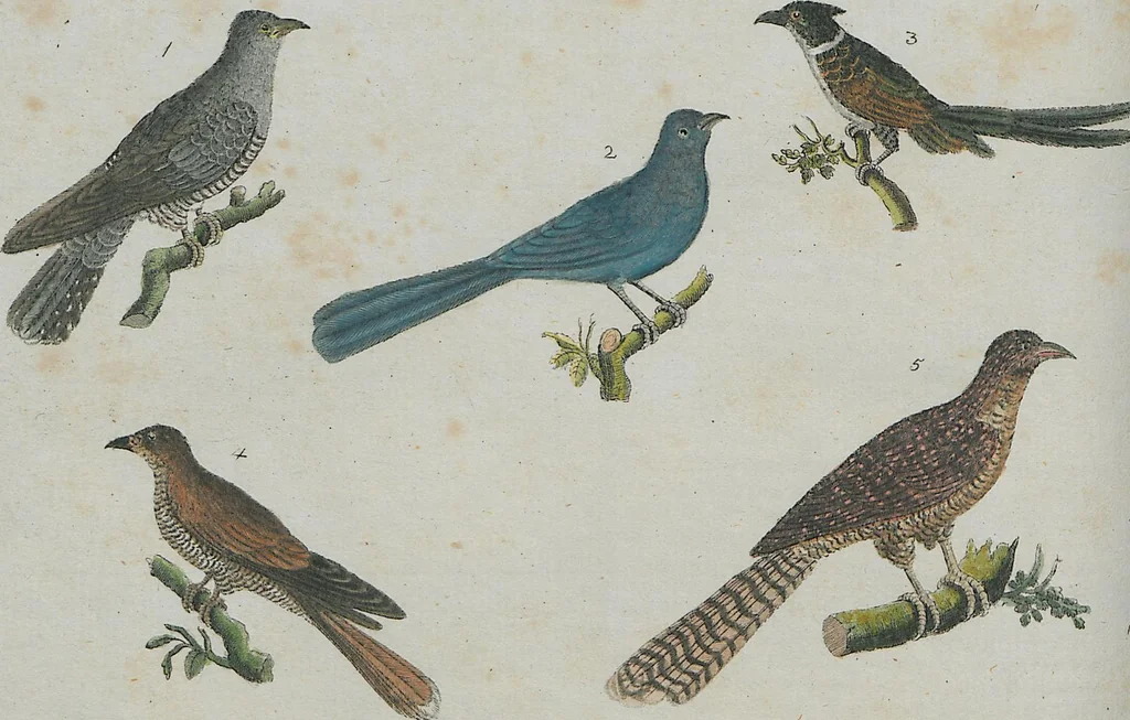An illustration from (Band 1), 1801, leaf 192