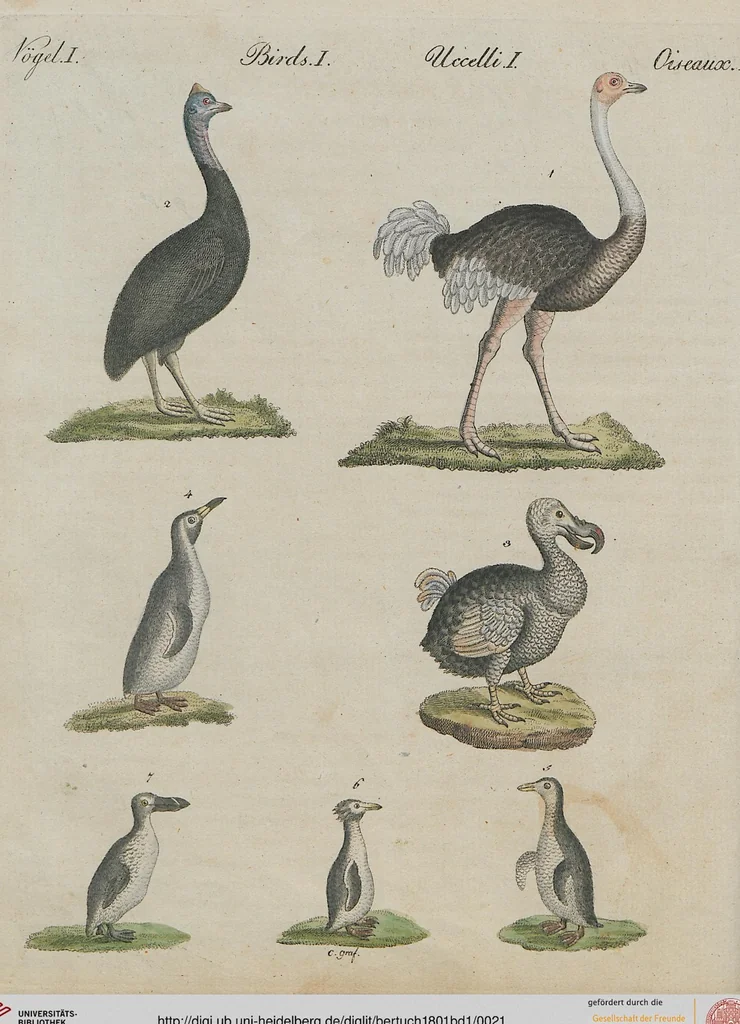 An illustration from (Band 1), 1801, leaf 21