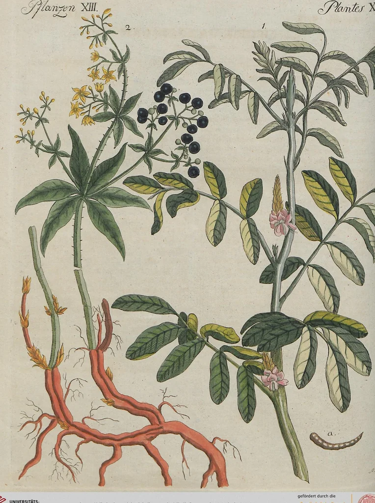 An illustration from (Band 1), 1801, leaf 225