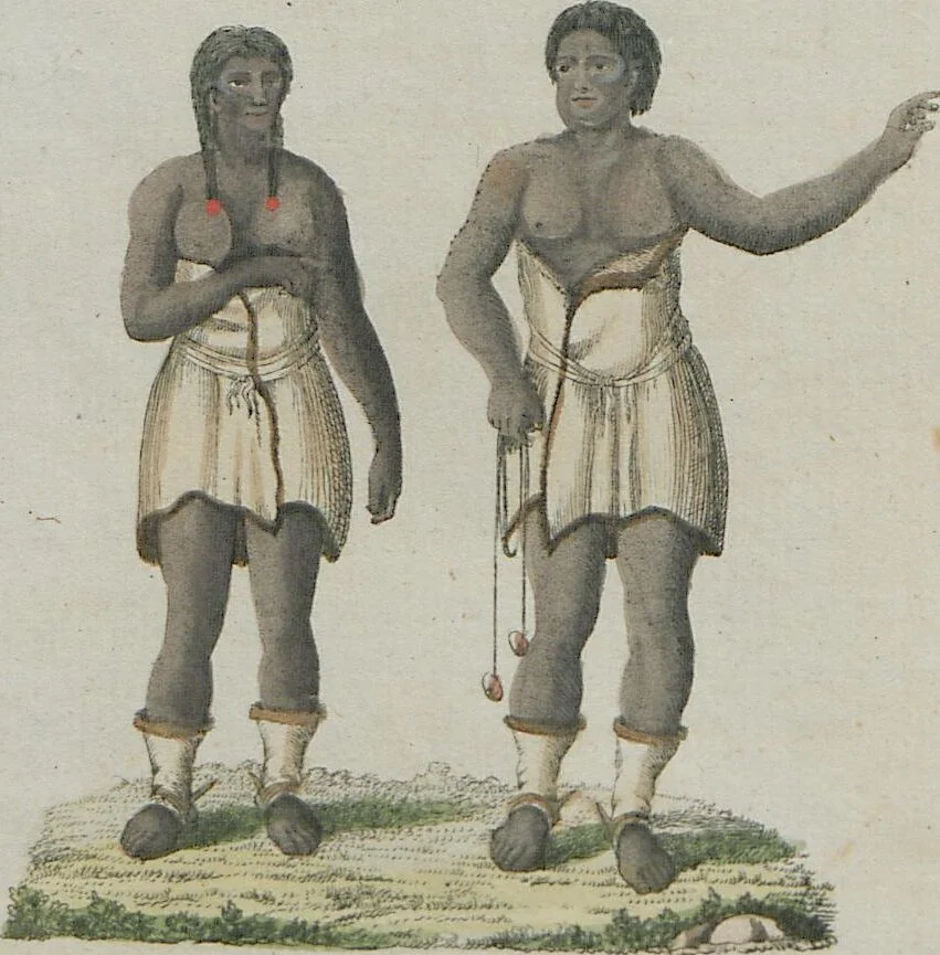 An illustration from (Band 1), 1801, leaf 249