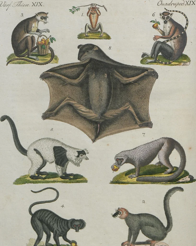 An illustration from (Band 1), 1801, leaf 267