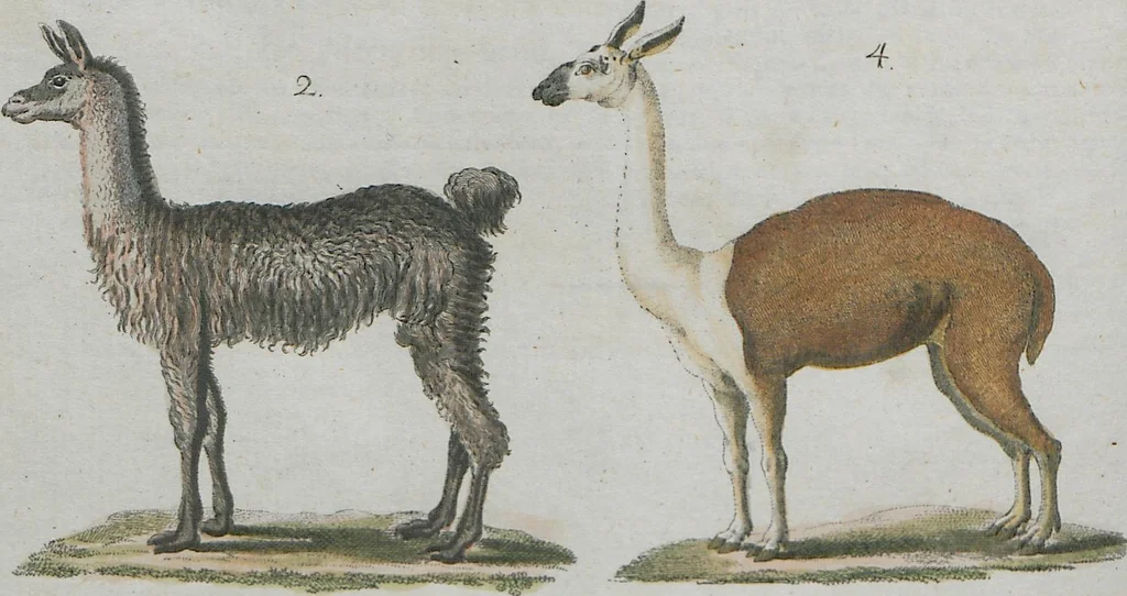 An illustration from (Band 1), 1801, leaf 270