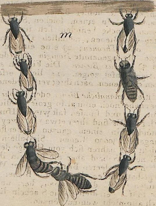 An illustration from (Band 1), 1801, leaf 54