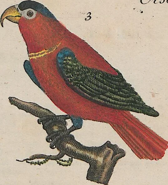 An illustration from (Band 1), 1801, leaf 60